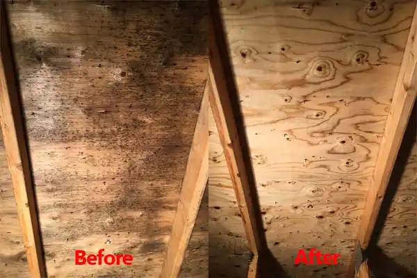 water damage restoration service Glenn Dale